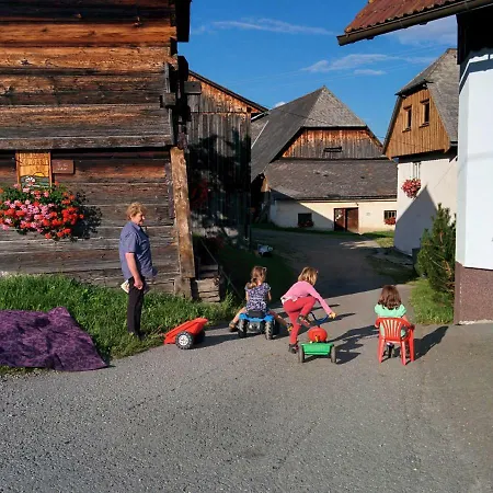 Rettlhof Sankt Peter am Kammersberg